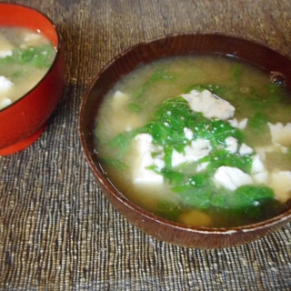 豆腐とシソの味噌汁